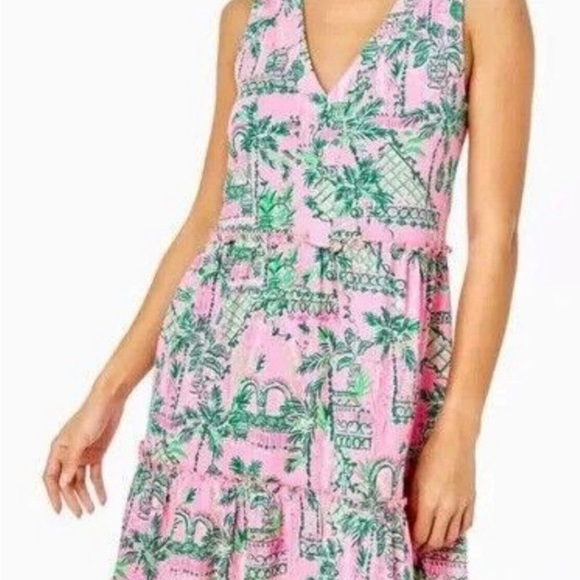 Lilly Pulitzer Dresses & Skirts - Lilly Pulitzer Lorina Swing Dress, Mandevilla Baby, Always Worth It, large